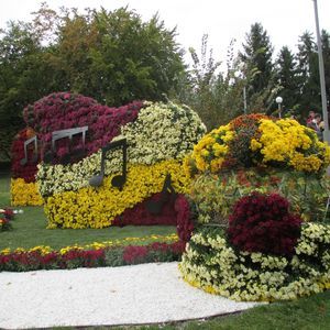 Meet your Posher, Taisa